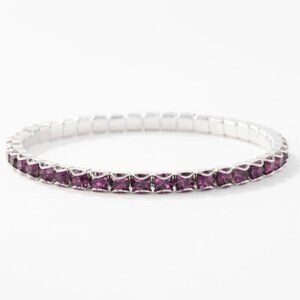 Touchstone Crystal By Swarovski February Birthstone Stretch Bracelet NEW IN BOX